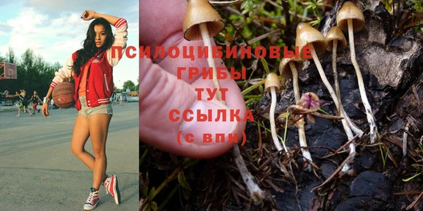 прущая мука Абдулино